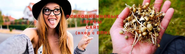 круглые Заводоуковск