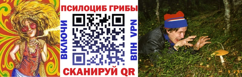 Купить закладки  Заполярный  Псилоцибиновые грибы Cubensis 